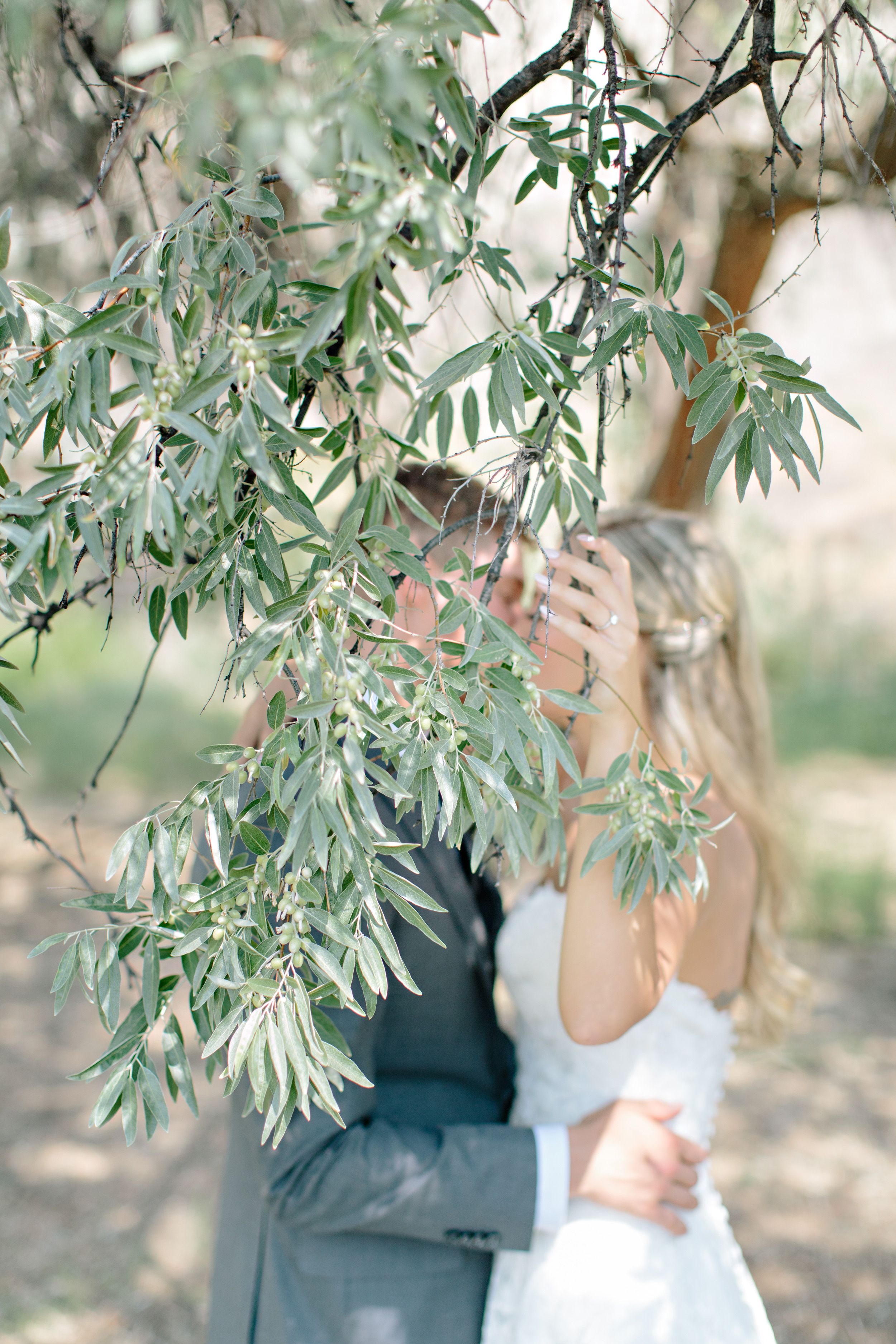 bride and groom kissing behind olive branch