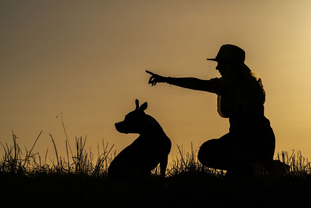 Fotoshoot hond en baas met zonsondergang - Baas en hond