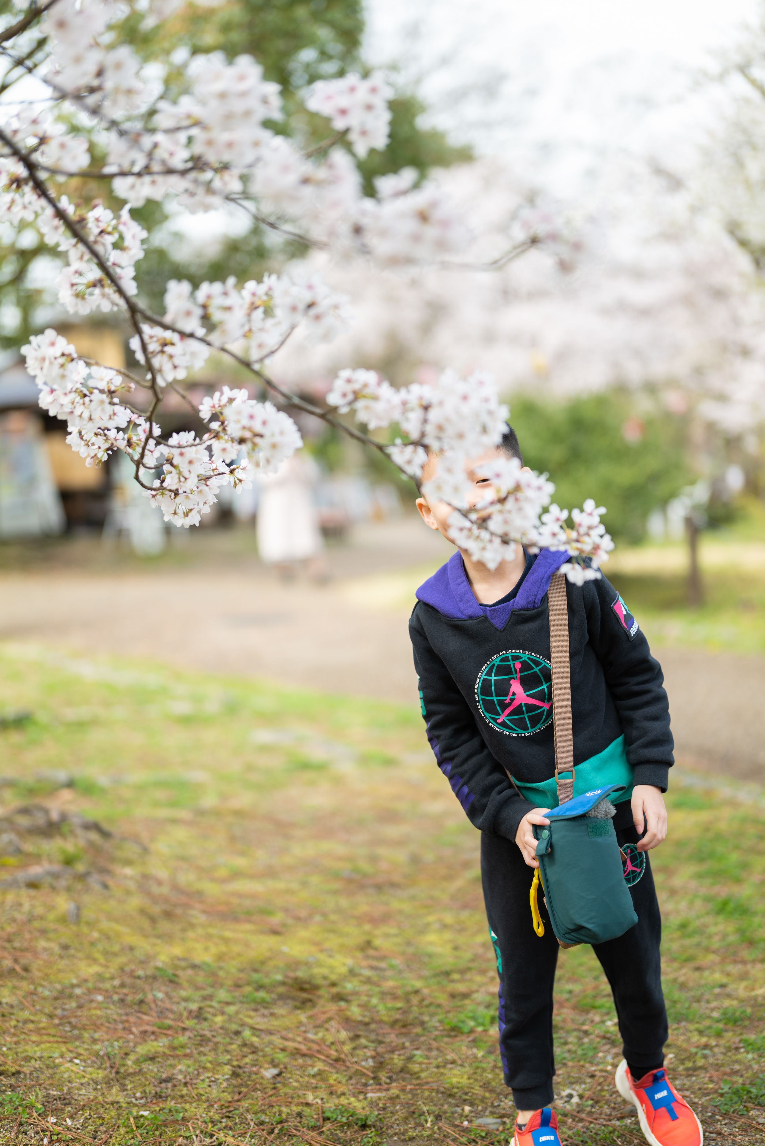Young boy standing under blooming cherry blossom branch with face partially hidden by flowers.