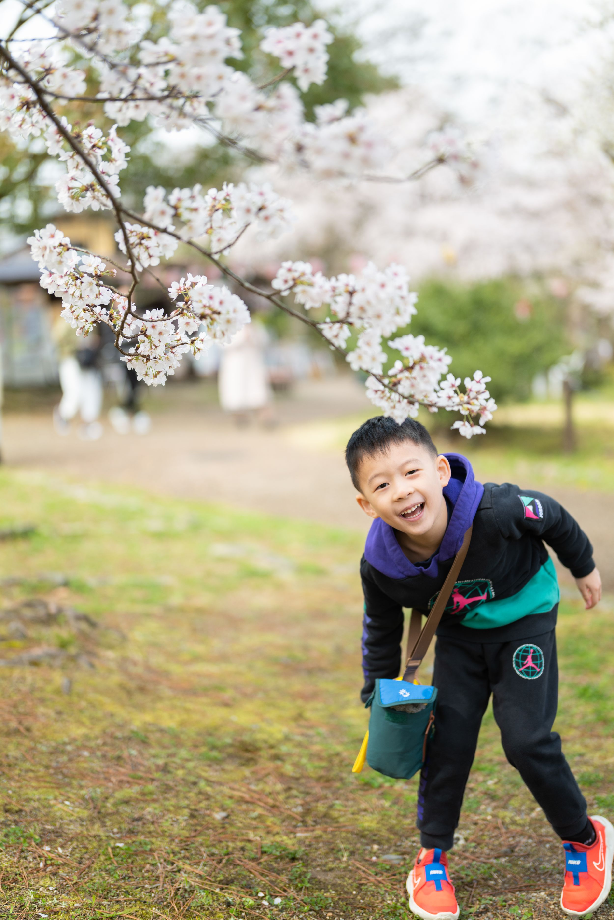 Happy young boy laughing and leaning forward under cherry blossom trees in spring park.