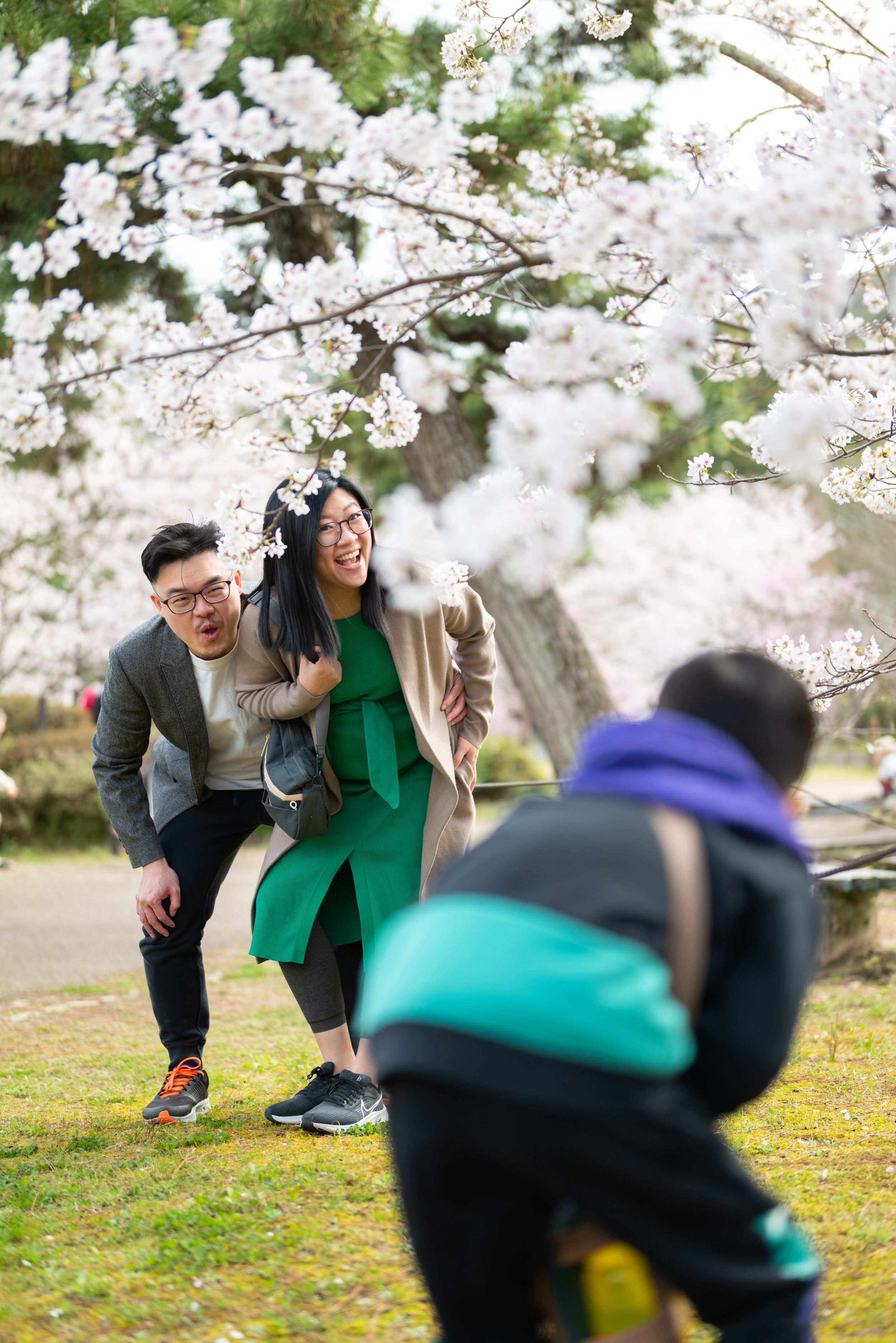 Laughing couple watching young boy play under flowering cherry blossom trees in park.