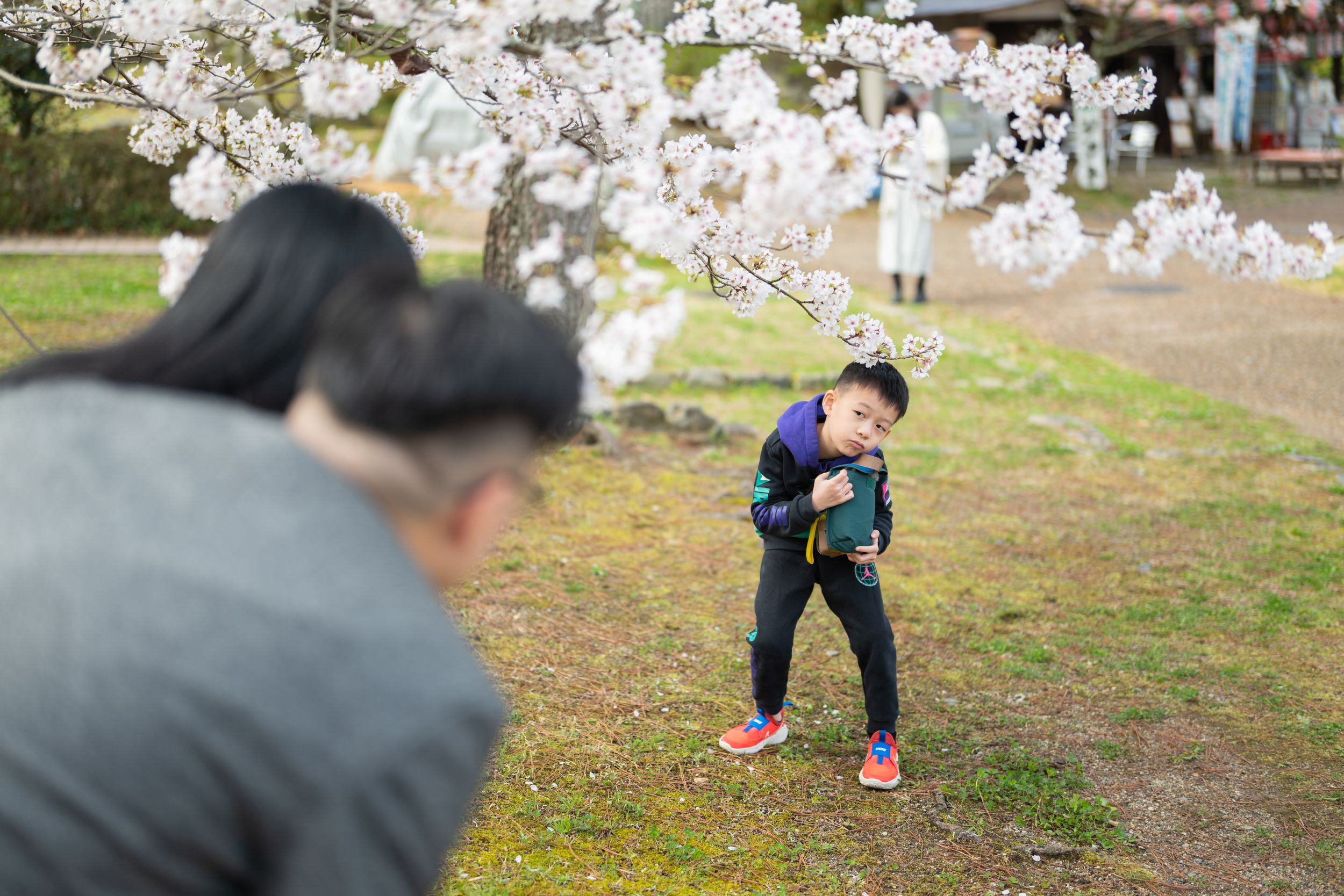 Parent photographing cheerful young boy posing under cherry blossom trees in spring park.