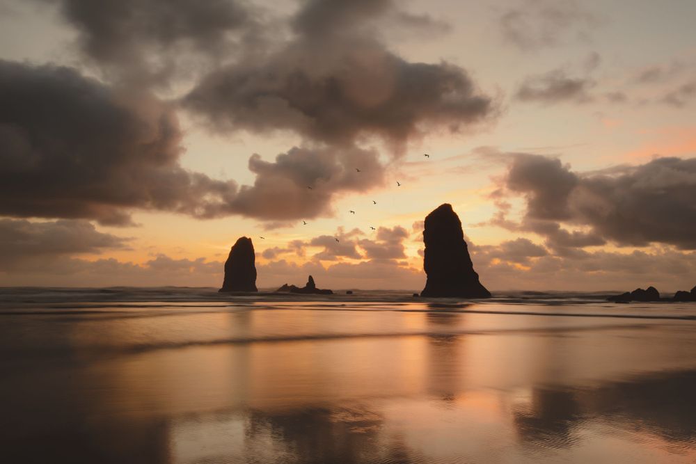 Dramatic sea stacks silhouetted on beach during golden sunset.
