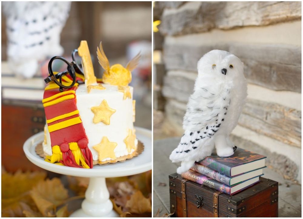 Harry Potter Themed Smash Cake and Owl Decor for First Birthday Session at Duck Pond Cabin Bartlesville, OK