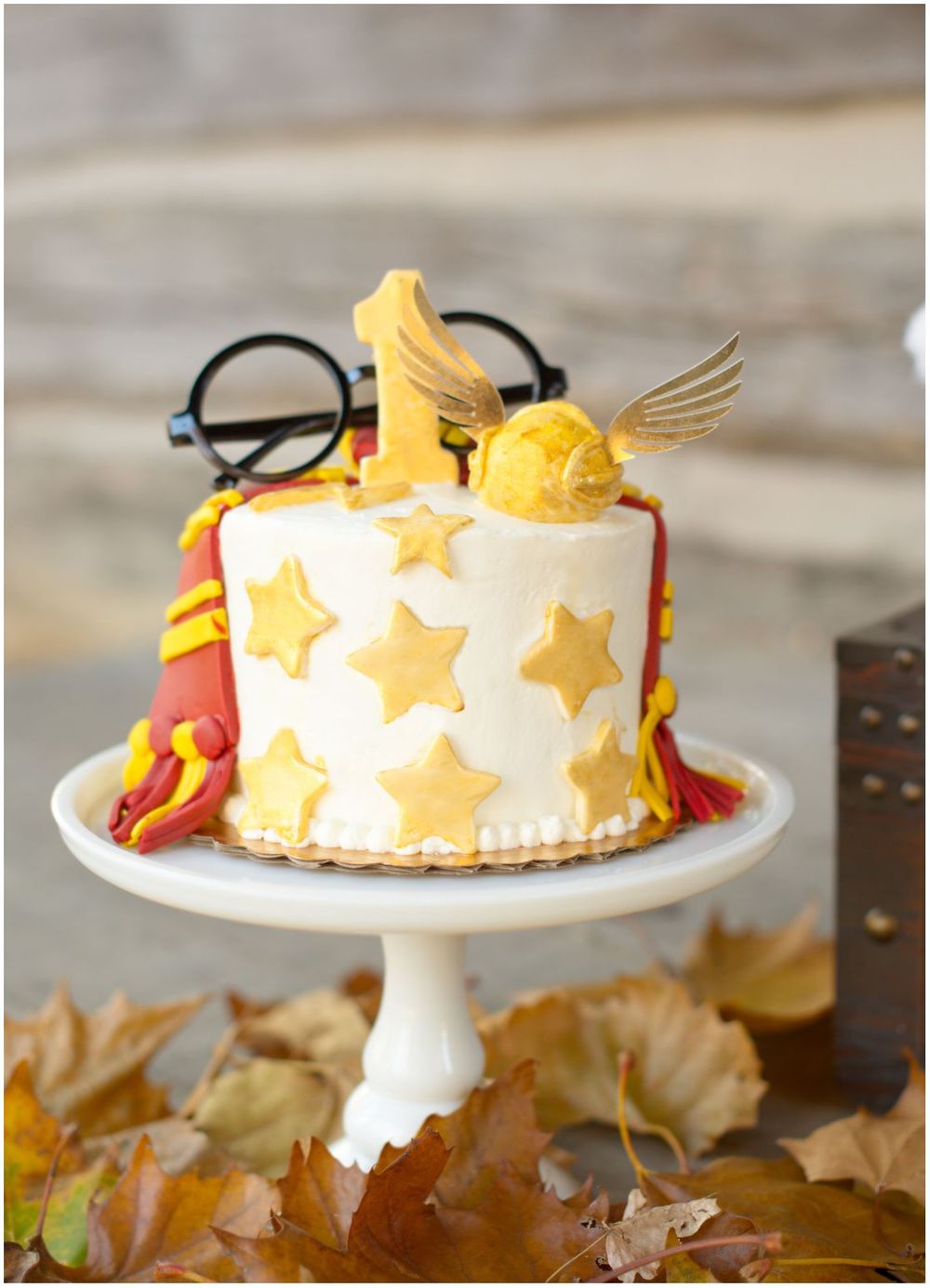 Harry Potter Themed Birthday Cake for First Birthday Cake Smash Session