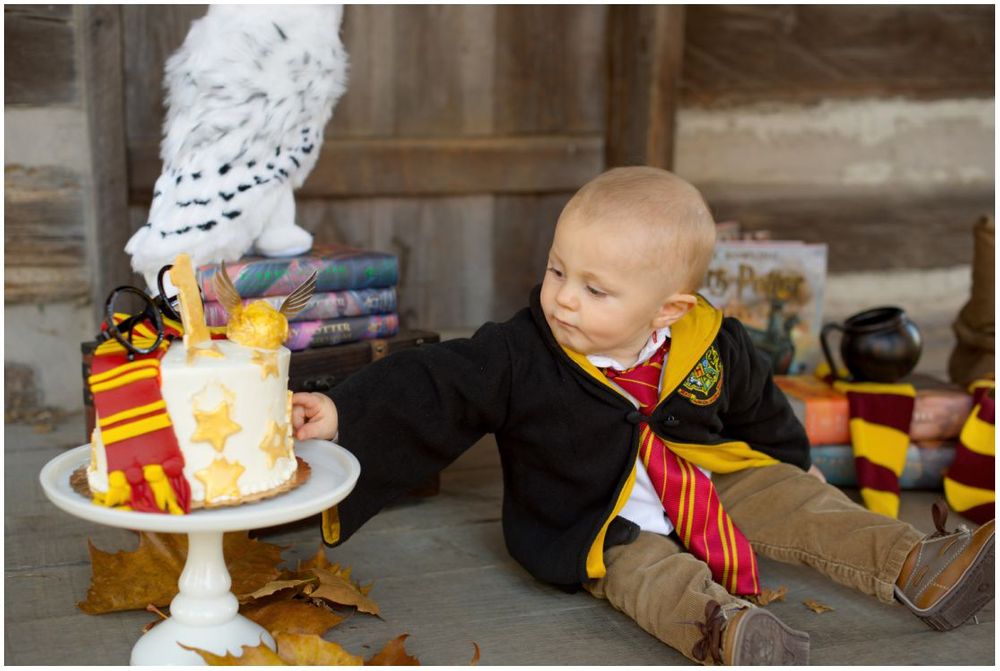 First Birthday Portrait Session with Harry Potter Theme at Jo Allyn Lowe Duck Pond Cabin Porch in Bartlesville Oklahoma