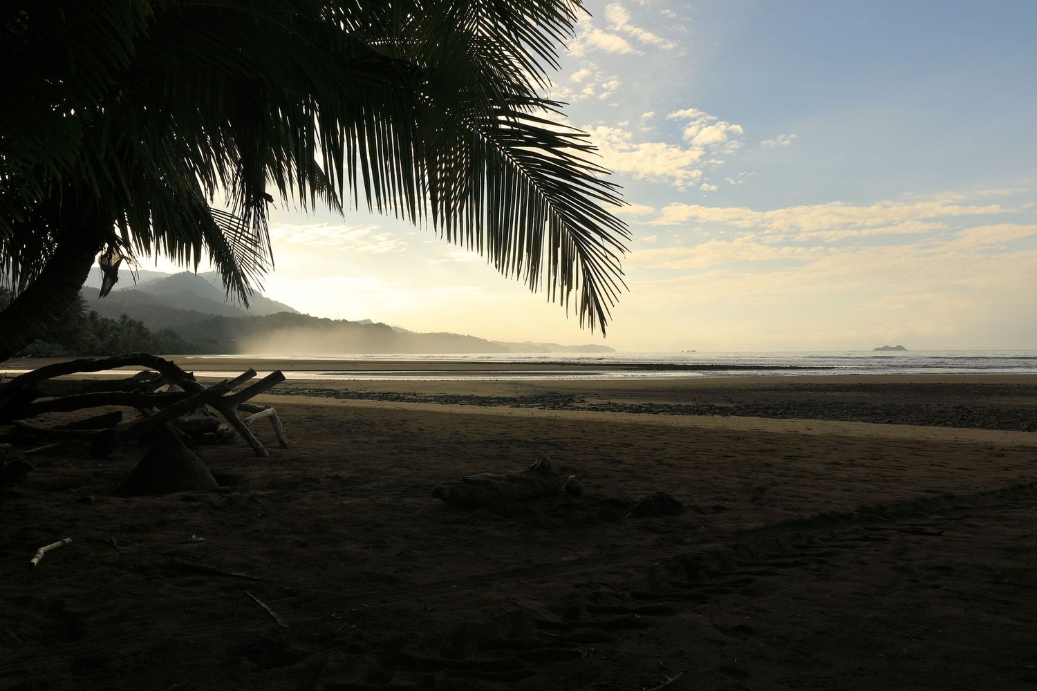 Palm tree silhouettes frame a misty beach sunset view with lounge chairs.