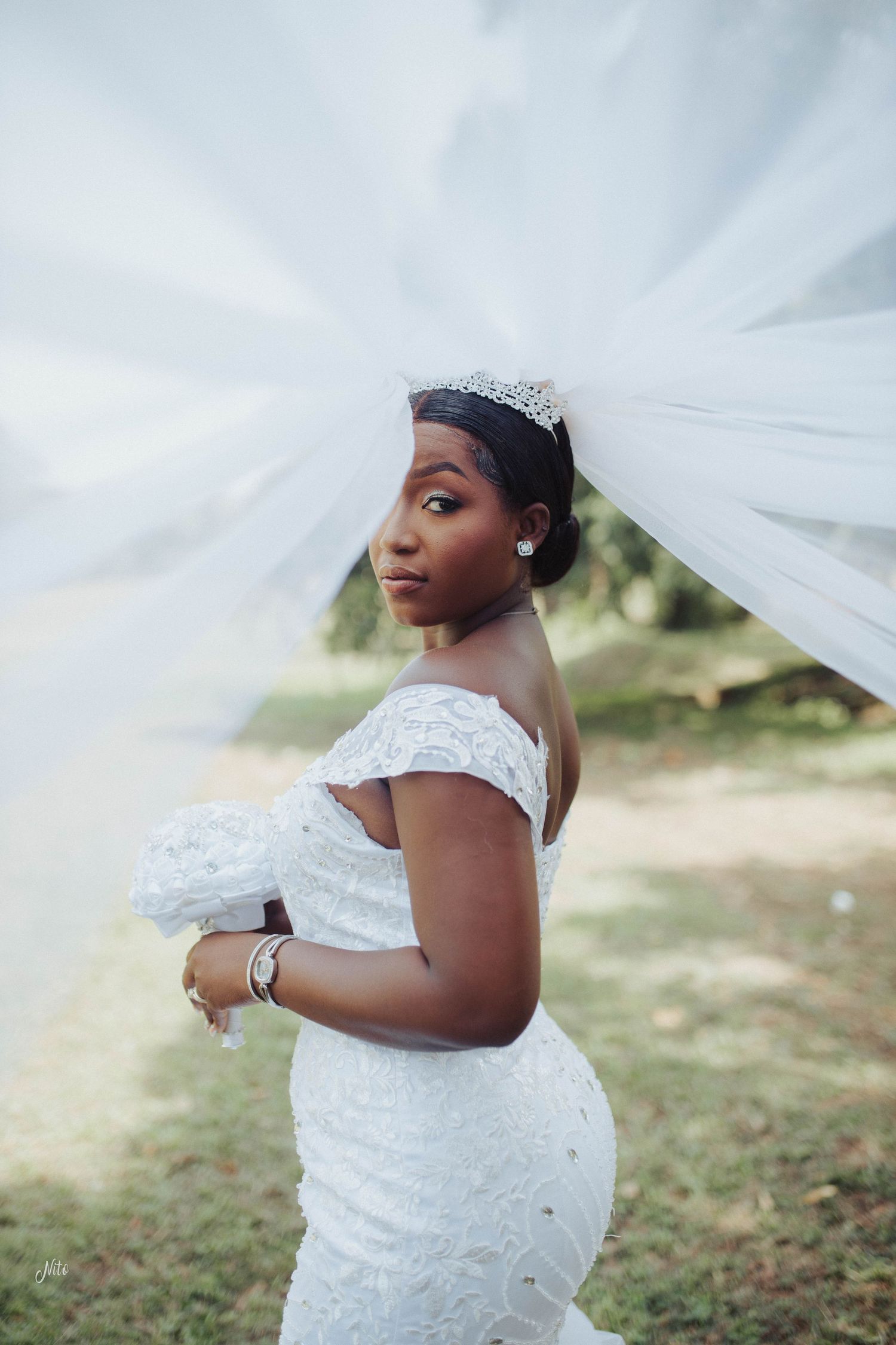 A bride in a fitted lace gown and tiara poses elegantly with her flowing veil.