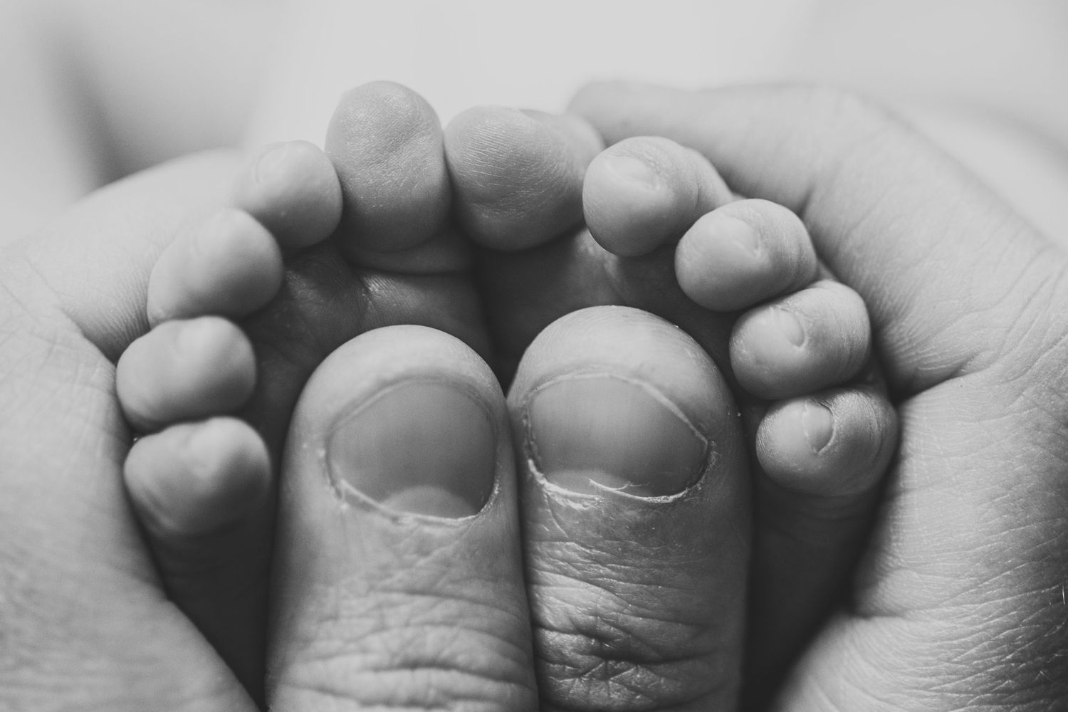 Black and white macro shot of infant feet being cradled in adult hands.
