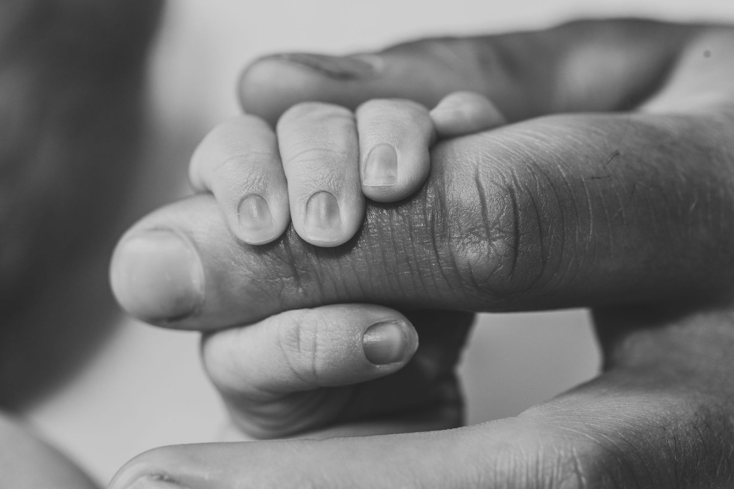 Gentle black and white image of small baby fingers wrapped around an adult hand.