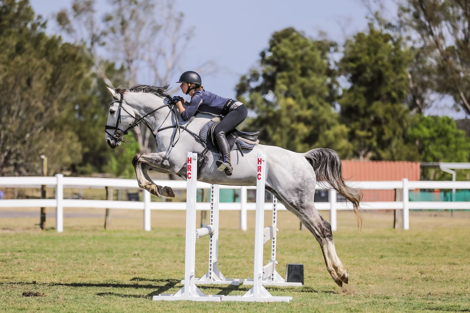 Equestrian photography.