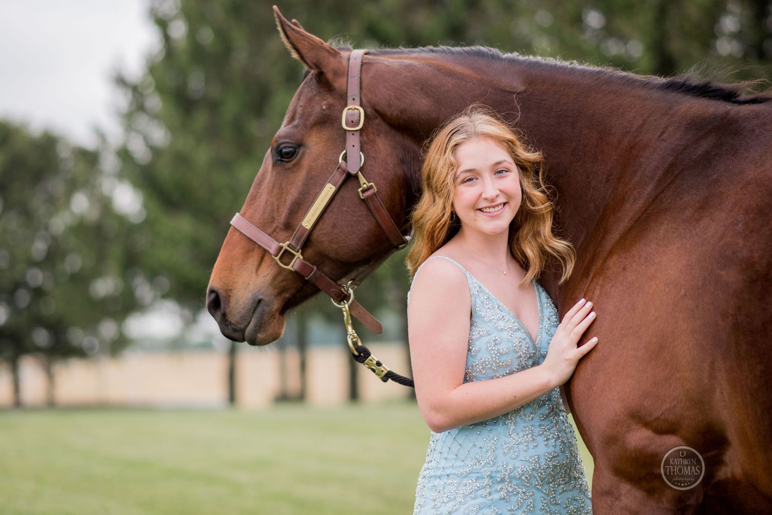 A beautiful bay horse stands beside someone wearing a light blue formal dress in a grassy field.