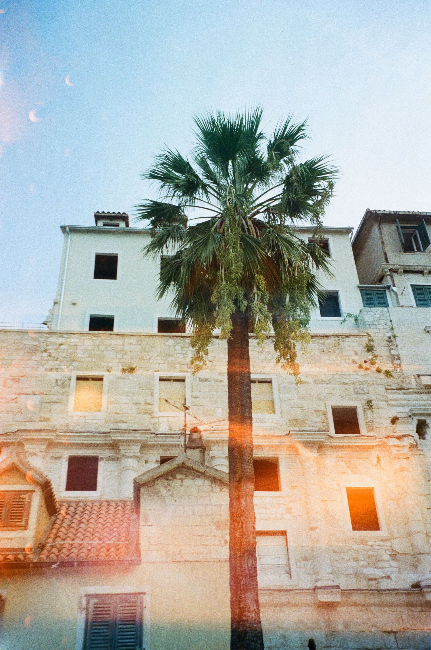 A tall palm tree stands against a Mediterranean-style building with whitewashed walls and multiple windows at sunset.