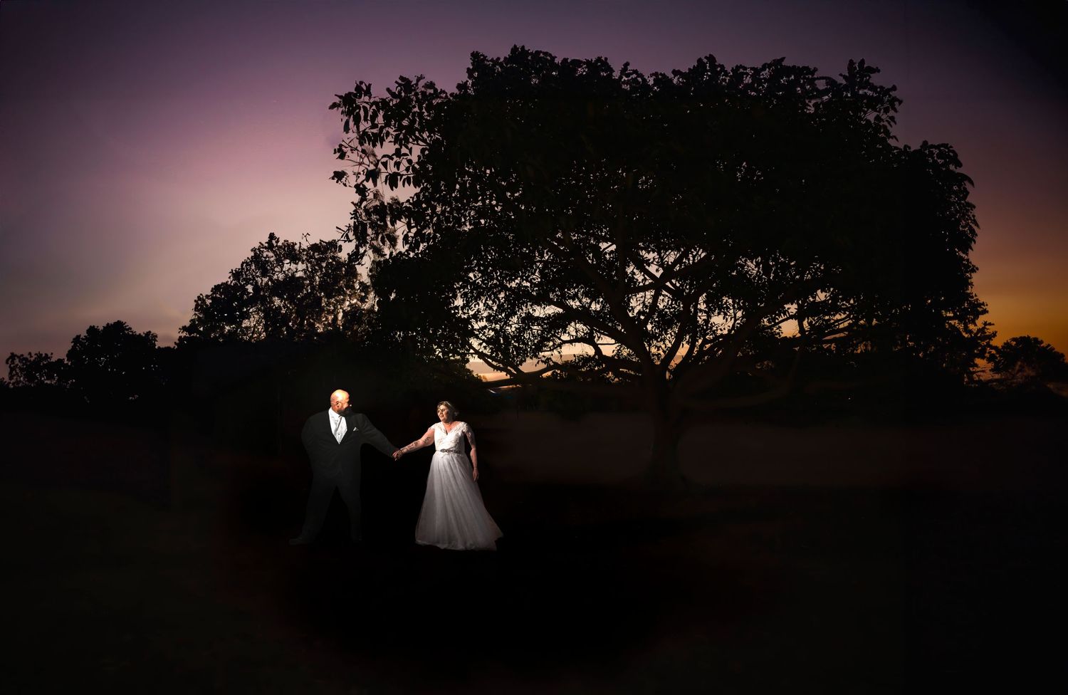 Silhouetted couple stands beneath sprawling tree during purple sunset.
