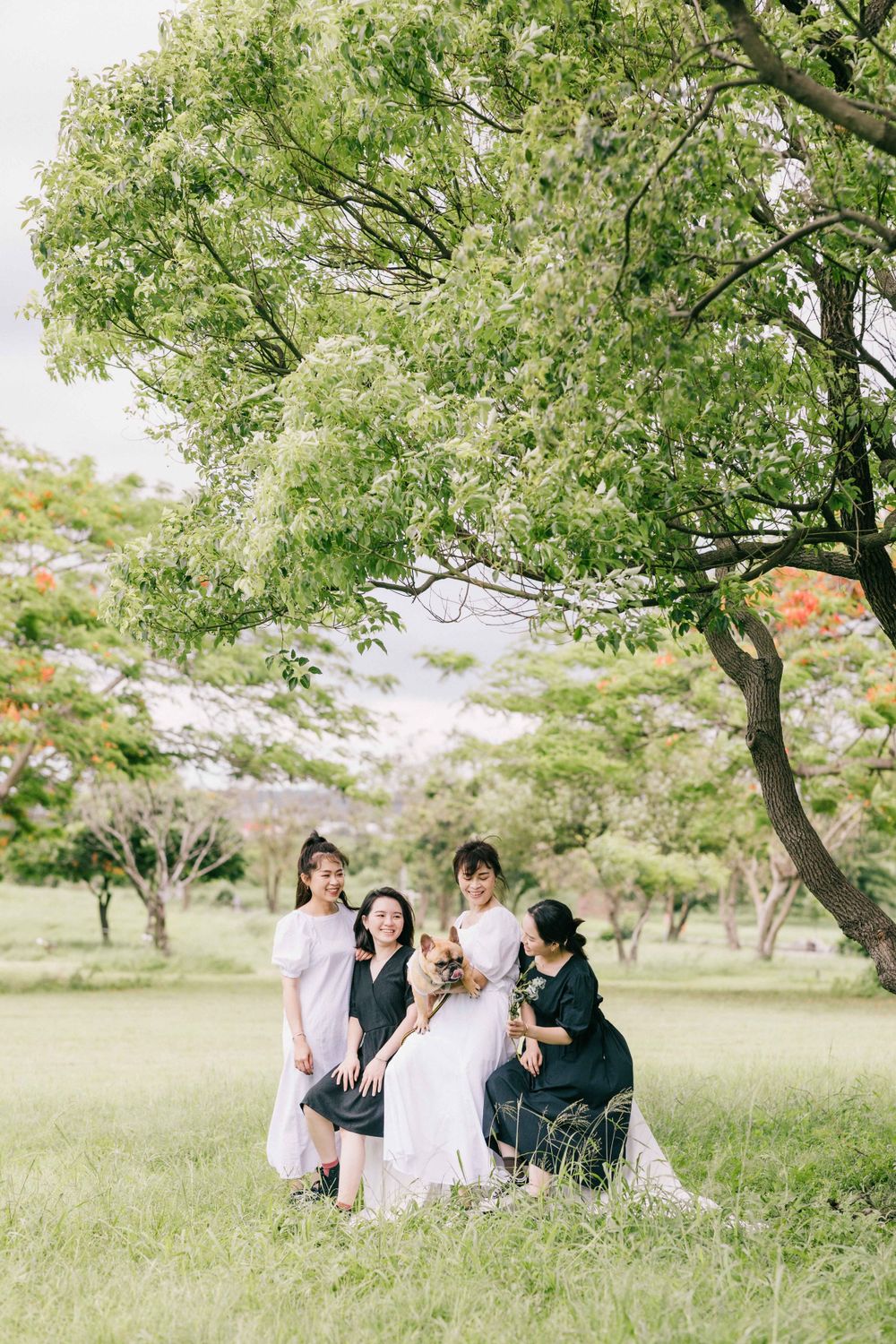 美式婚禮攝影師、美式婚紗攝影師、韓式婚紗攝影、韓劇婚紗、日式婚紗攝影師、屏東攝影工作室、屏東親子寫真、屏東全家福攝影、屏東家庭寫真、屏東自助婚紗工作室、屏東自助攝影、屏東婚紗工作室、高雄親子寫真、高雄家庭寫真、高雄韓式婚紗、高雄美式婚紗