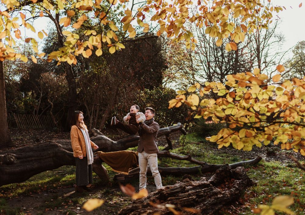 Couple enjoying autumn scenery with golden leaves and fallen trees.