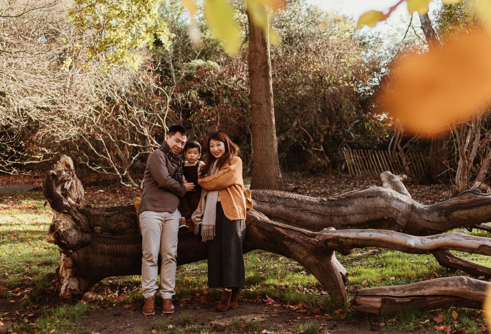 Family posing together on fallen tree trunk in natural outdoor setting.