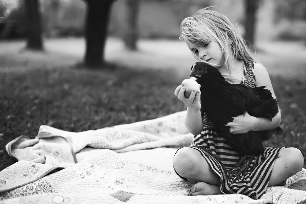 Child in black and white striped dress sitting on blanket outdoors during a sunny day with her chicken Poplar Superior Duluth Brule
