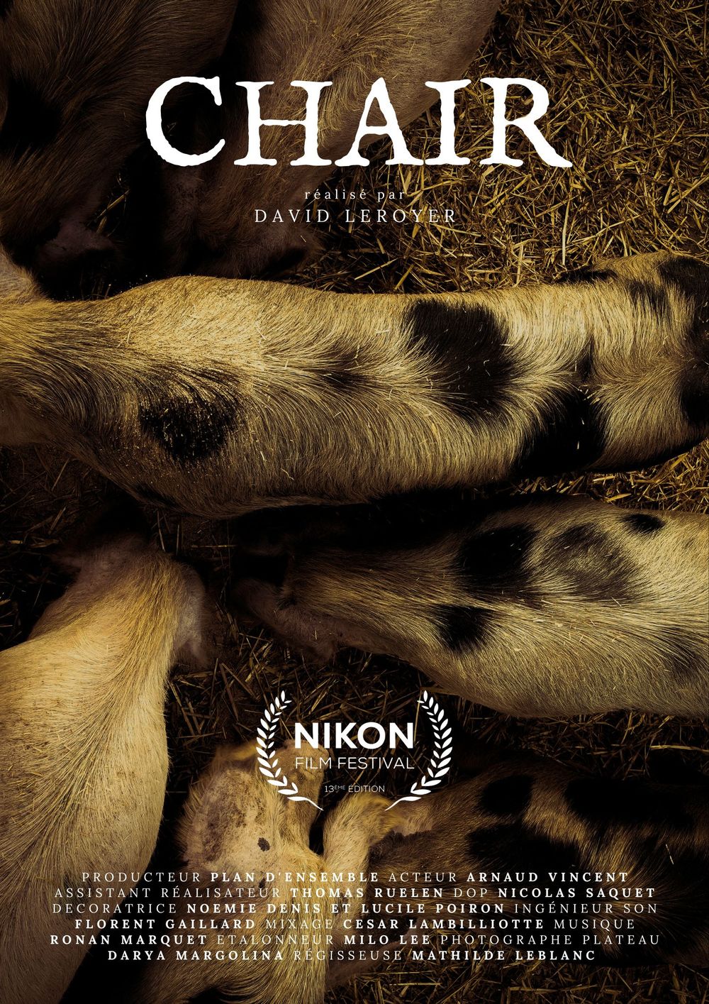 Posters. Affiche. Cinema. Nikon Film Festival.