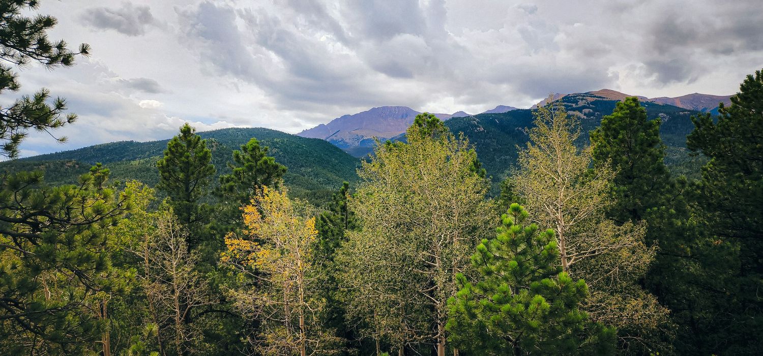 Scenic mountain vista with pine trees and dramatic cloud formations.