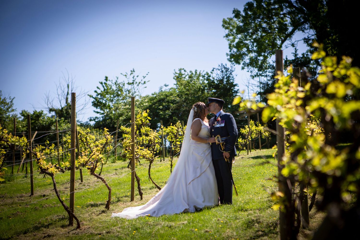 Bride and groom share a romantic kiss among lush green vineyard rows on their sunny wedding day.