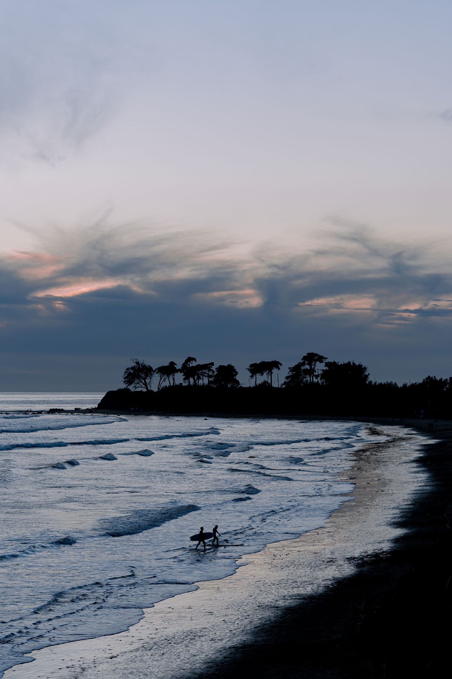 Silhouettes of trees along a beach coastline at dusk with waves crashing on shore.