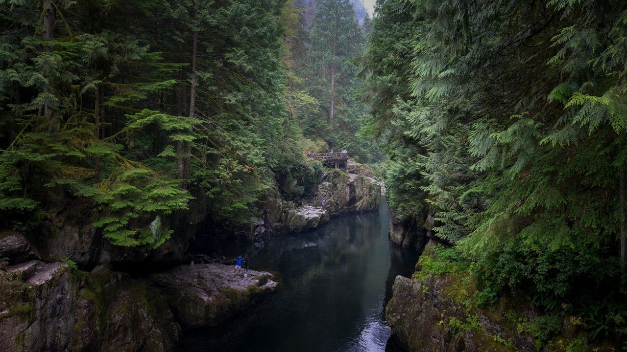 Lush green canyon creek flowing through forest, Lynn Canyon, North Vancouver location photography