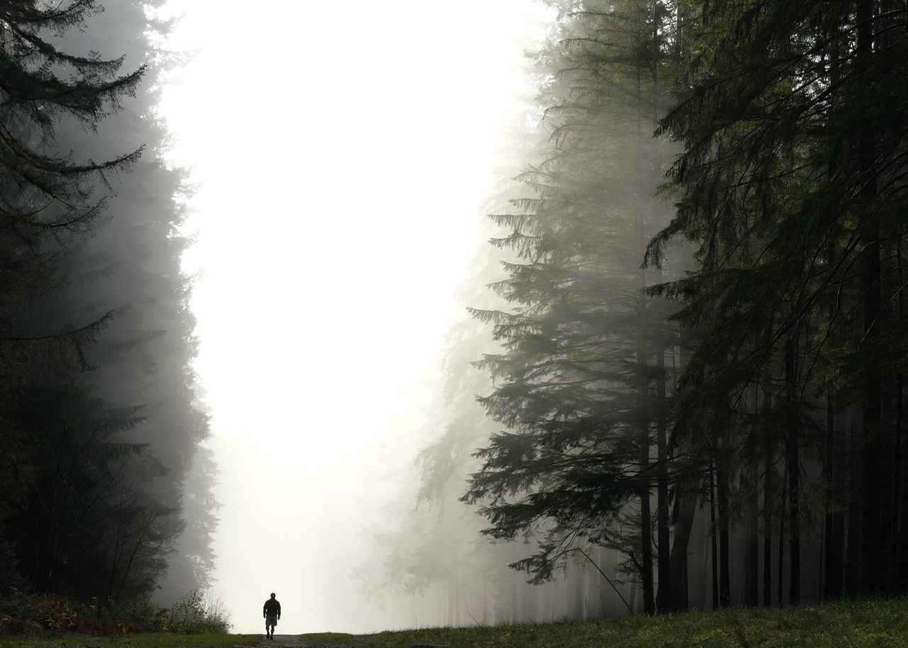 Person walking alone on misty forest path, atmospheric nature photography, Seymour Demonstration Forest North Vancouver
