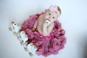 Baby lying on pink tulle fabric surrounded by plush toy animals.