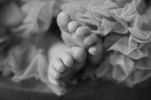 Black and white close-up of tiny baby feet nestled in soft tulle fabric.