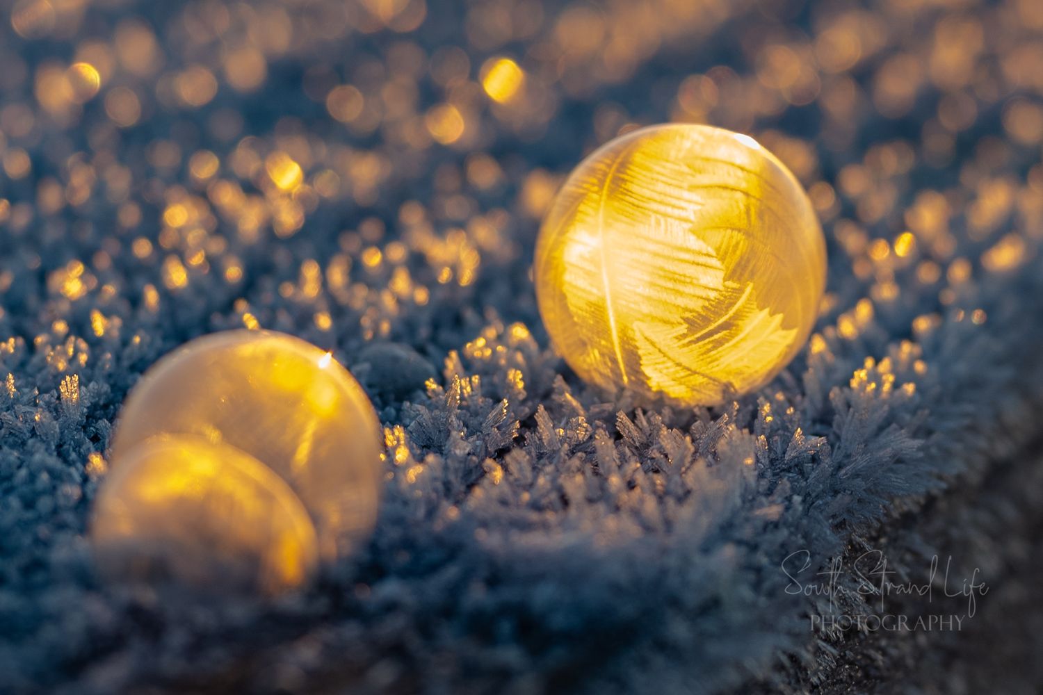 Frozen Ice bubbles