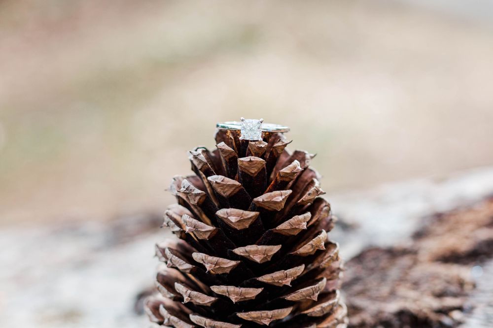 Close-up detailed view of a brown pinecone against a blurred natural background.