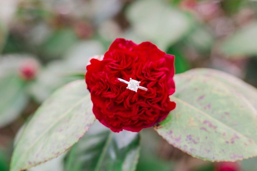 Diamond engagement ring nestled in a bright red flower in bloom.