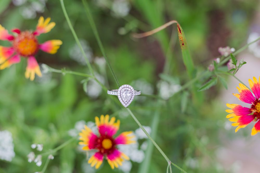 Engagement ring photographed among colorful wildflowers.