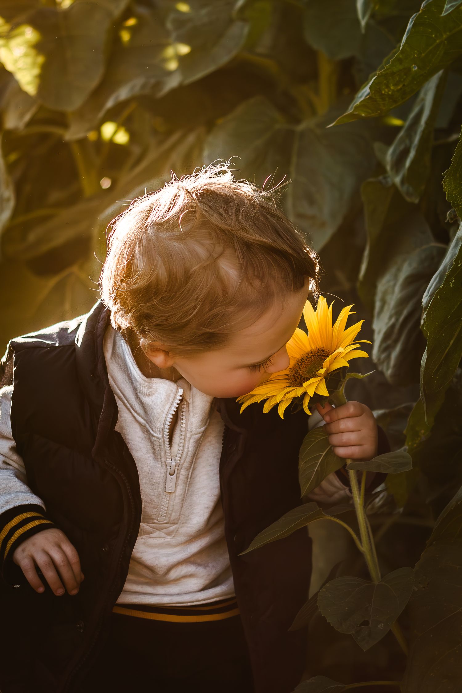 Cute kids at sunflower fields in Bowden: Mini sessions offered by Calgary's Love & Sunshine Photography.