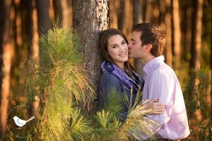 Romantic couple embrace among pine trees in golden sunset light.