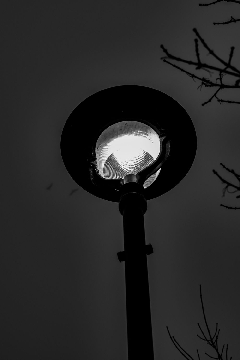 A dramatic black-and-white photo of a lamp post