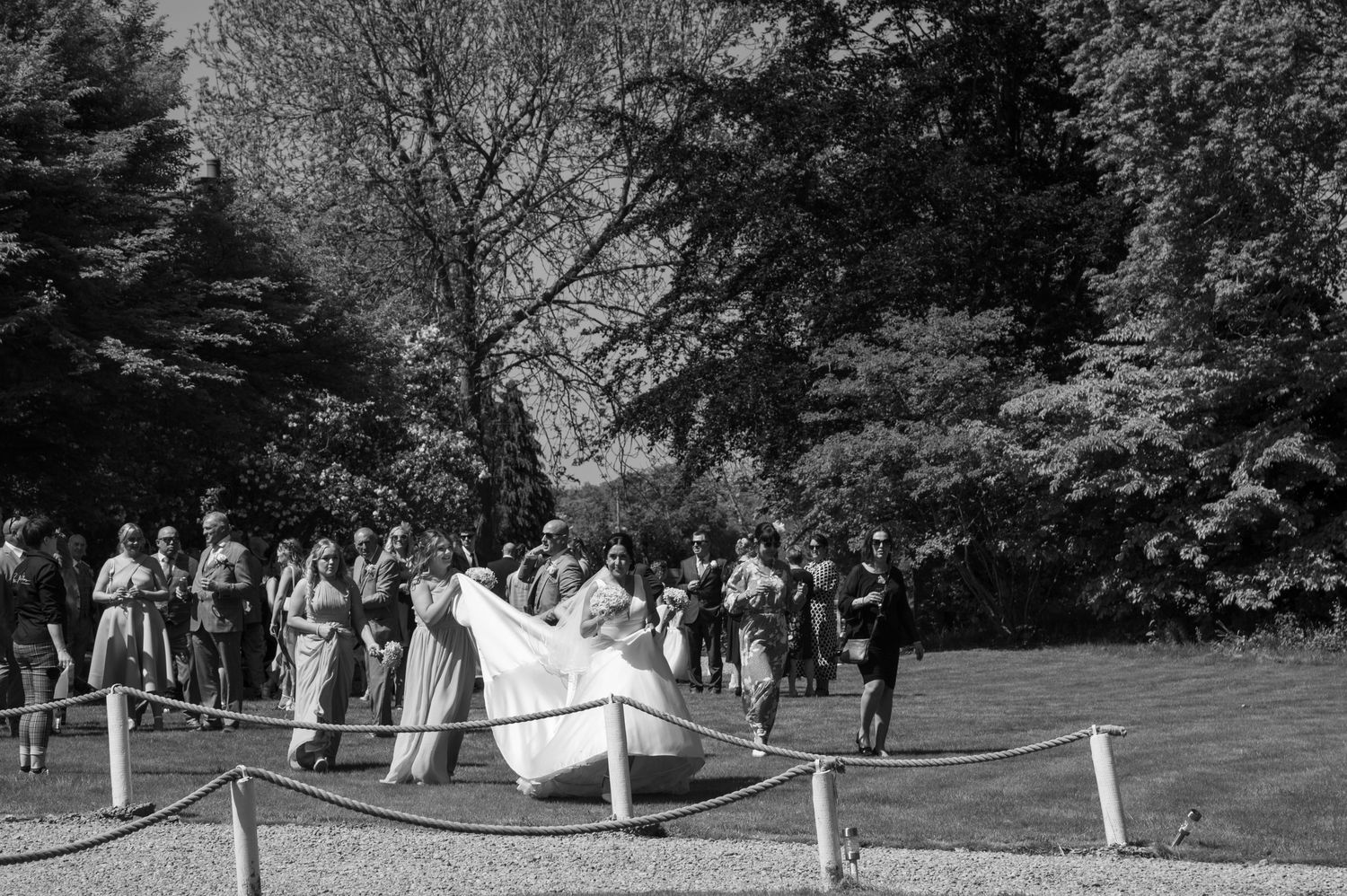 Black and white panoramic view of wedding party gathered outdoors among trees.