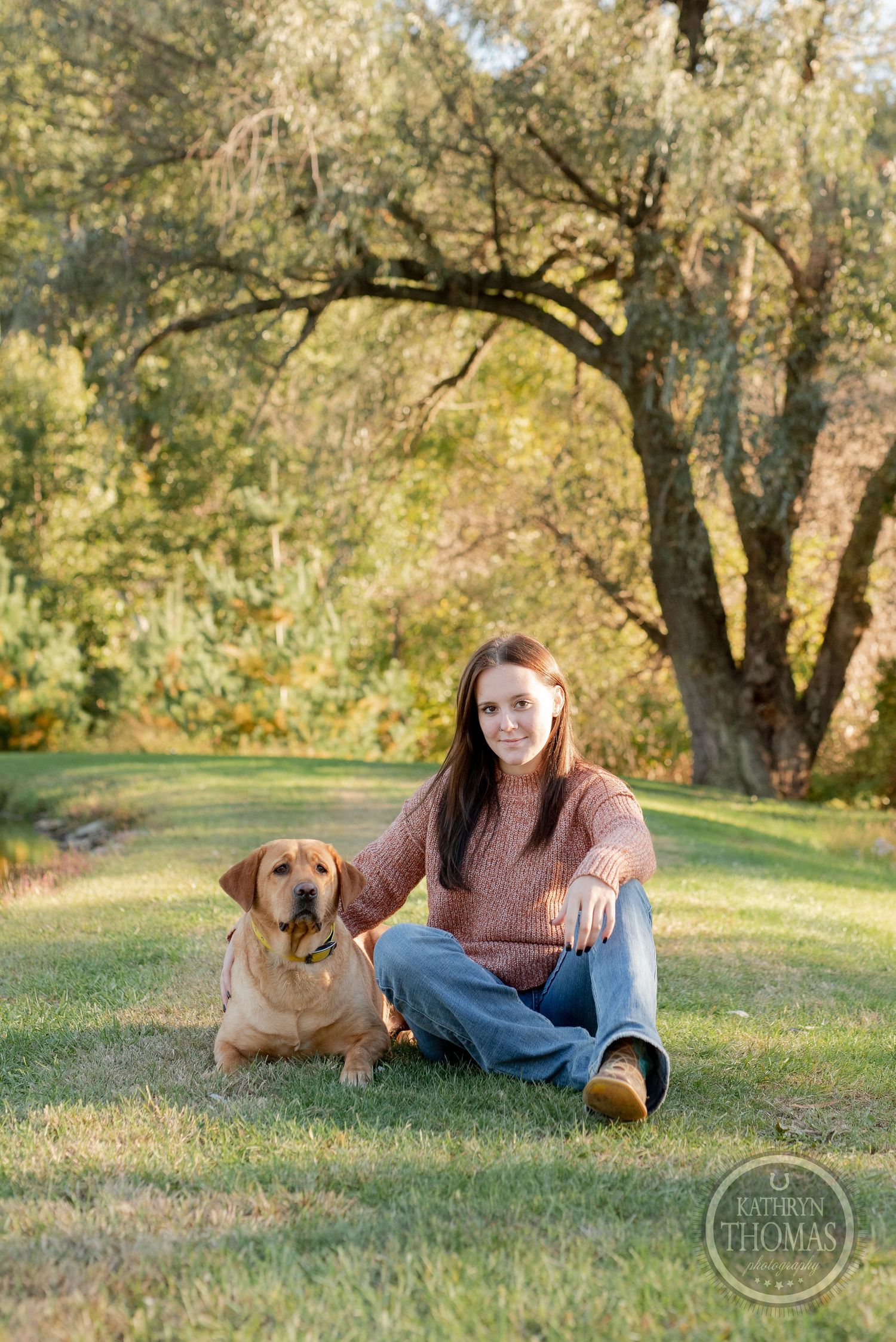Golden afternoon sunlight illuminates a peaceful outdoor scene with a friendly golden retriever.