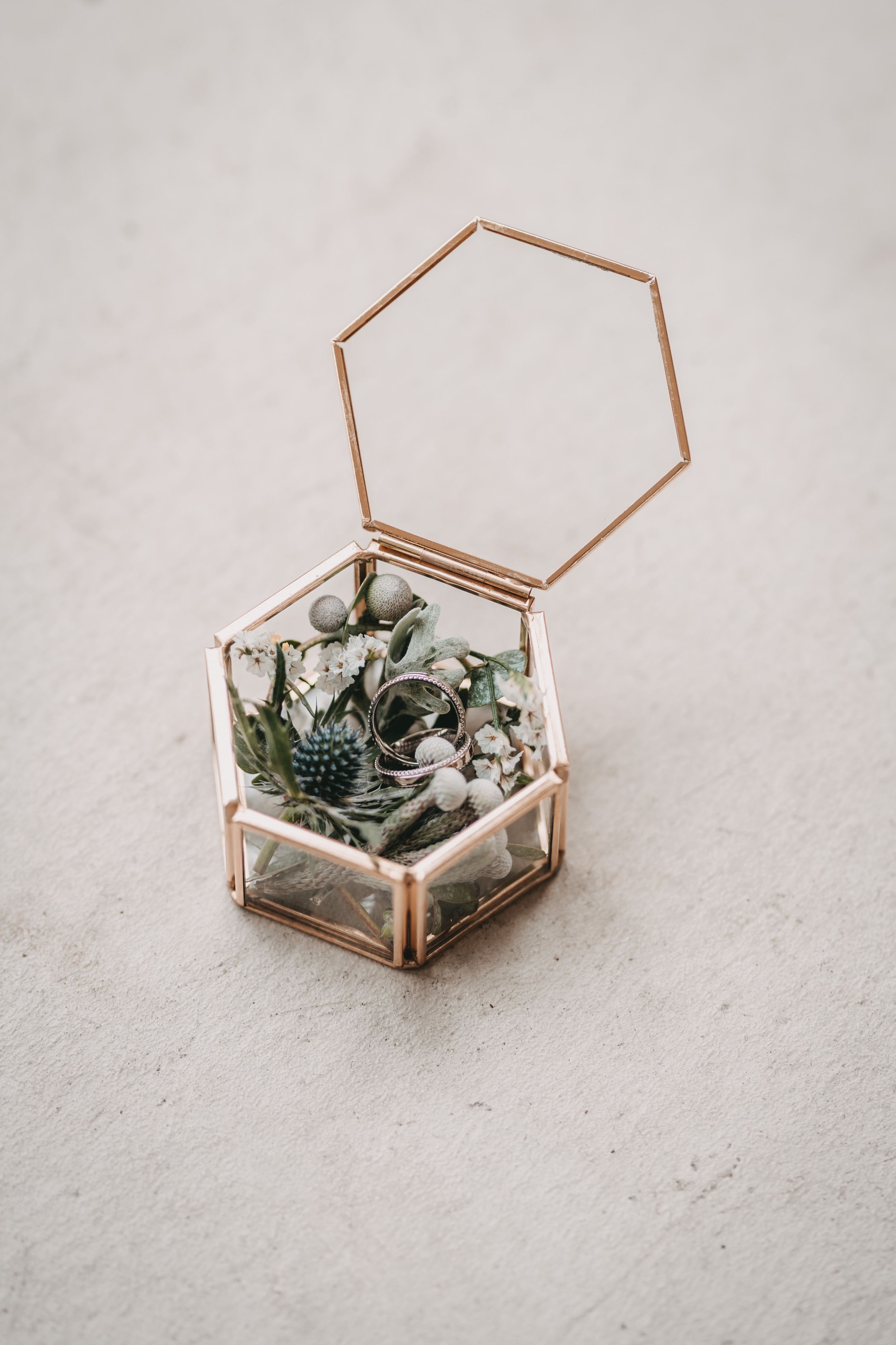 Geometric copper and glass terrarium box with succulents on white surface.