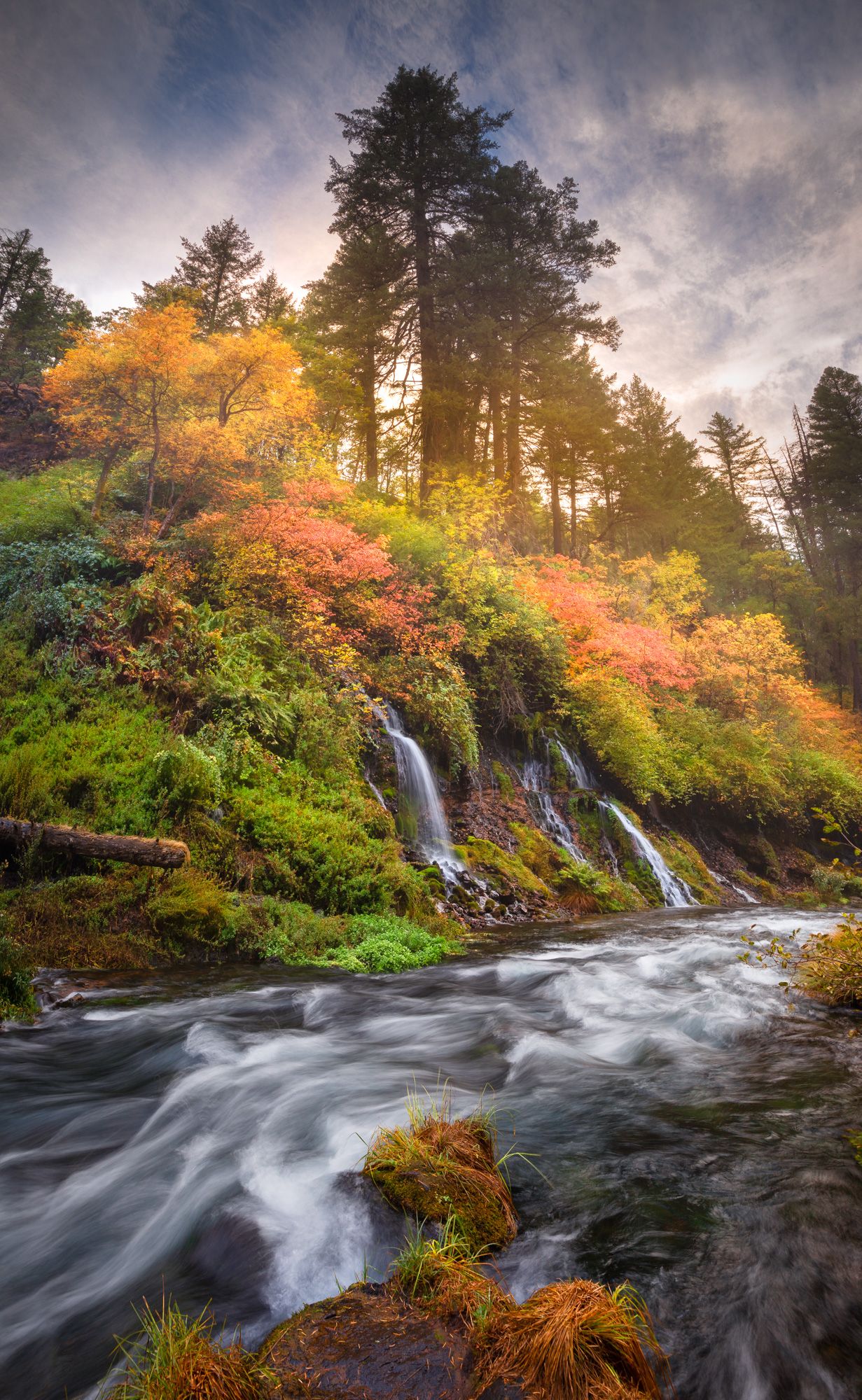 Scenic waterfall with autumn foliage cascades into rushing river amid evergreen forest at sunset with dramatic clouds.