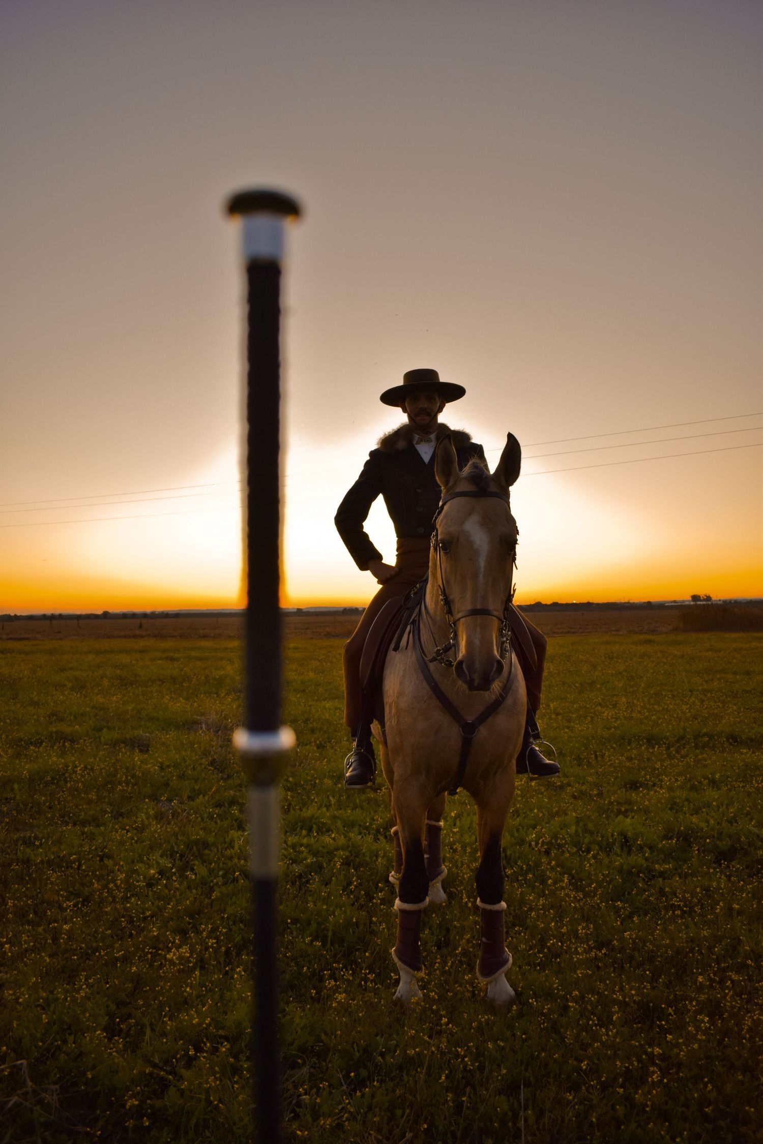cavalo
