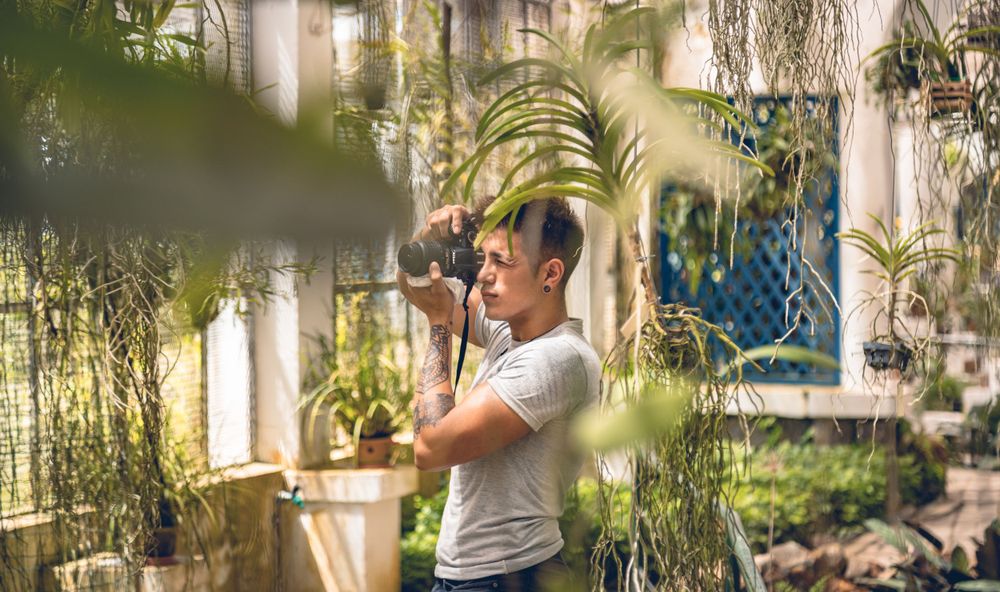 A gardener tends to tropical plants in a greenhouse filled with natural light.