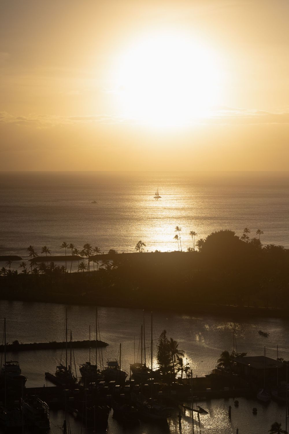 Dramatic golden sunset over a tropical harbor with silhouetted palm trees and boats in Hawaii.