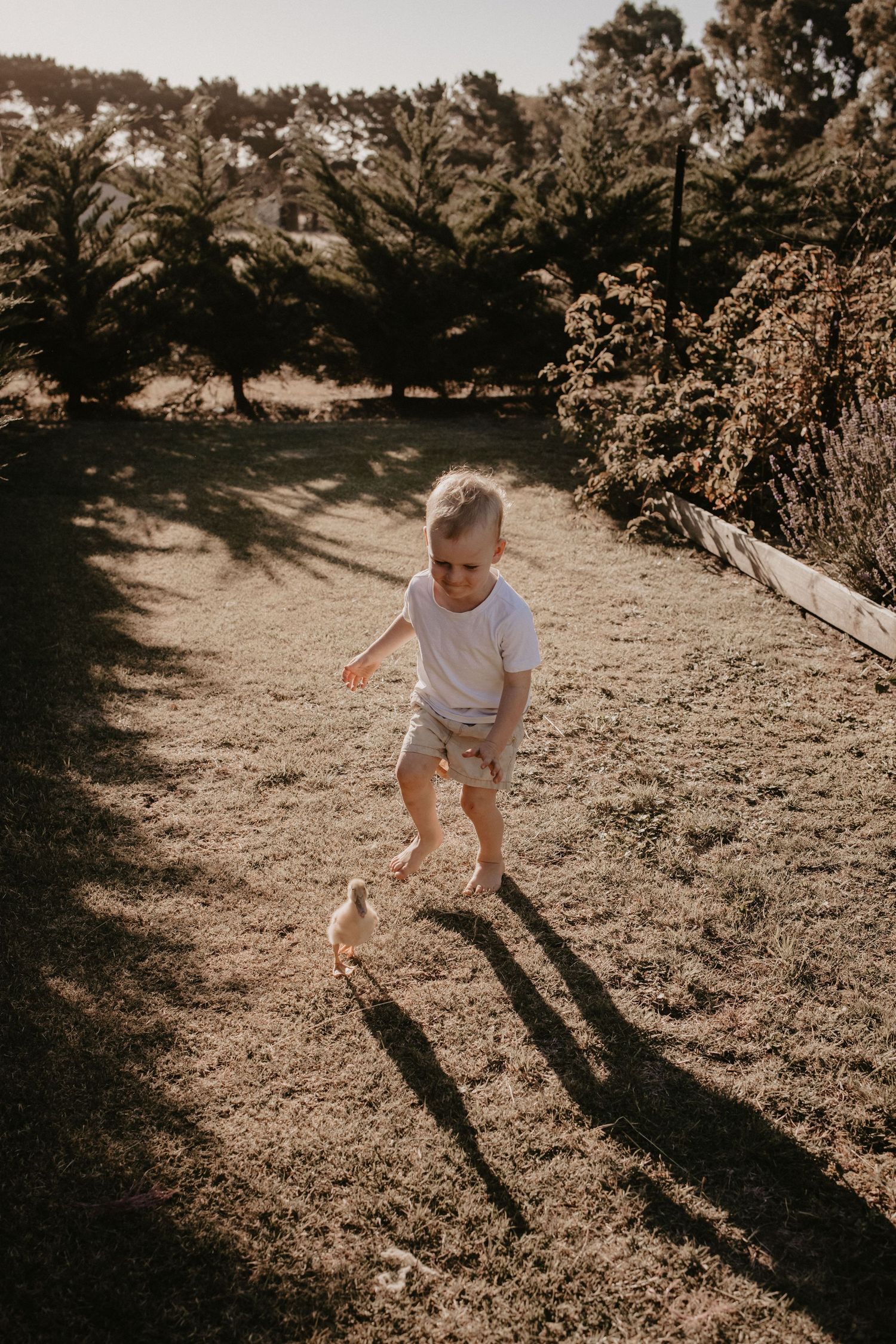 geelong melbourne newborn maternity family couples photographer