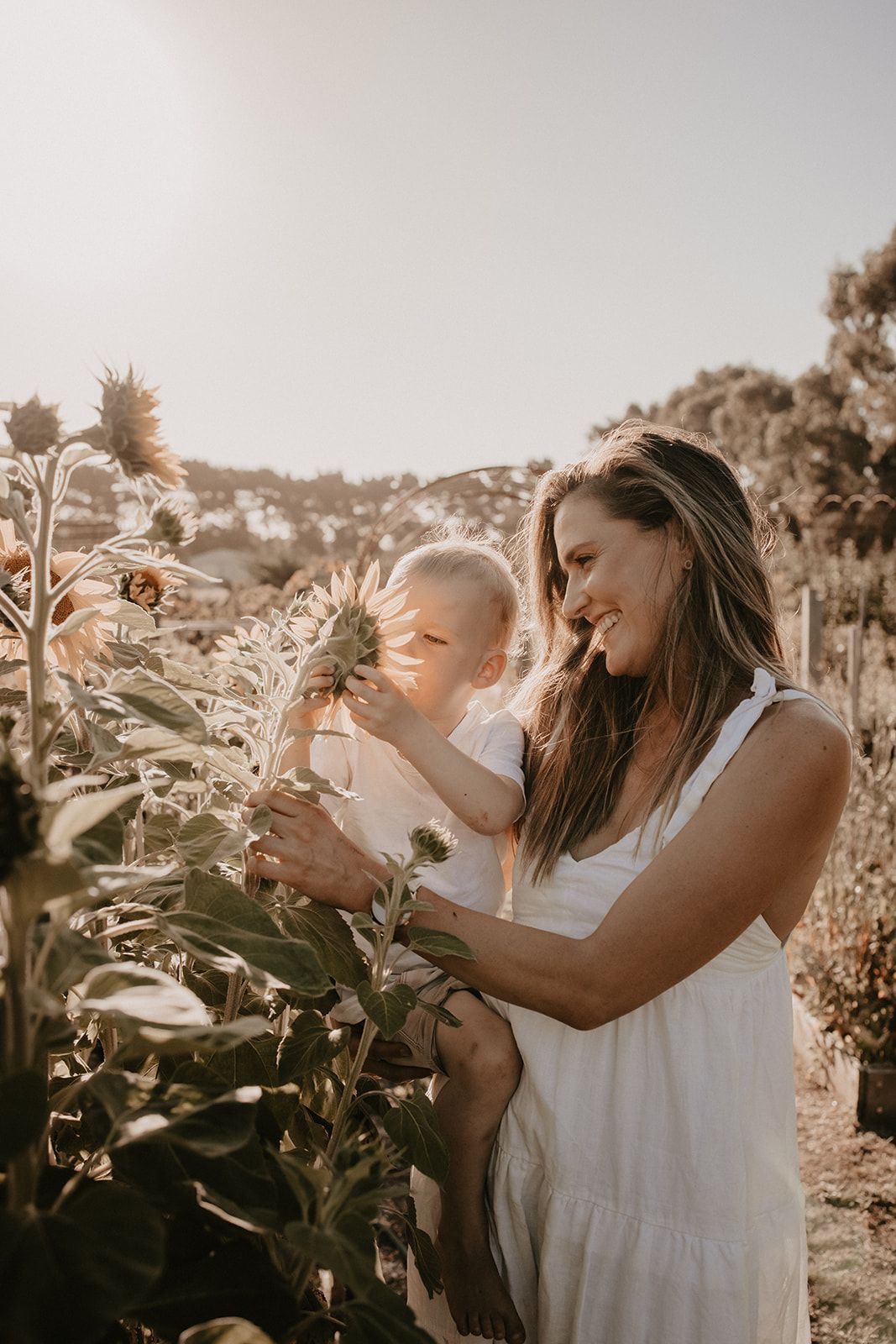 geelong melbourne newborn maternity family couples photographer