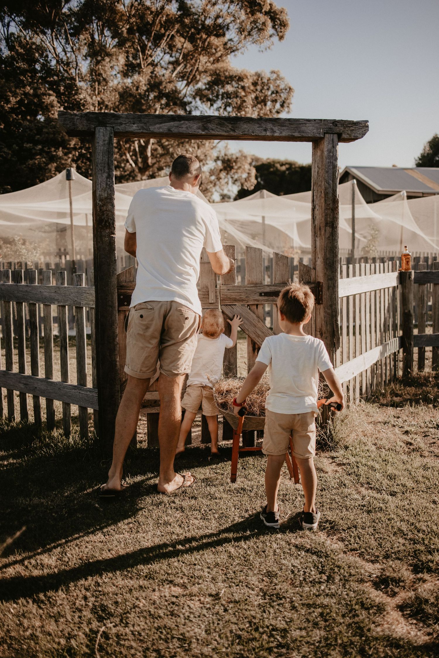 geelong melbourne newborn maternity family couples photographer