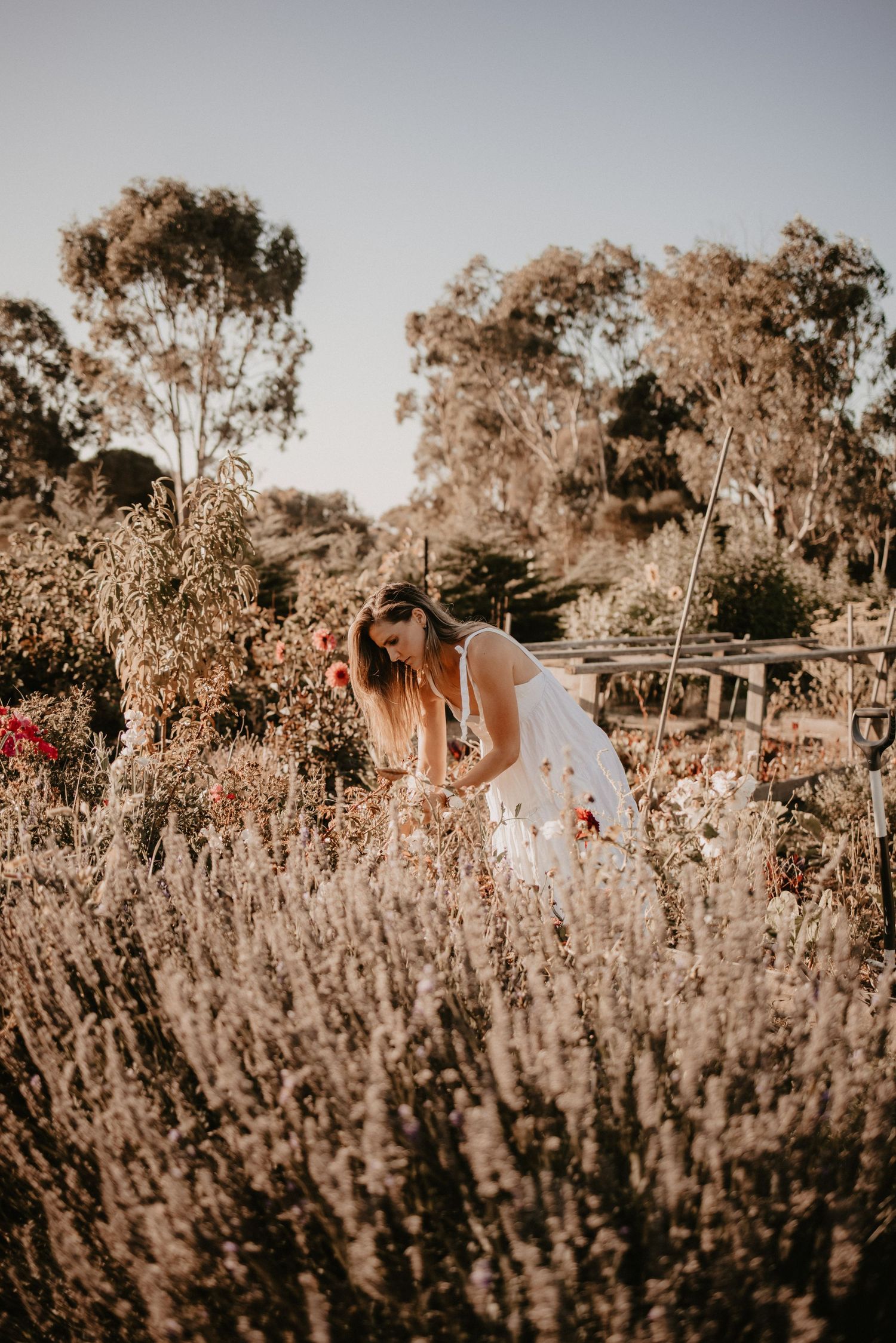 geelong melbourne newborn maternity family couples photographer