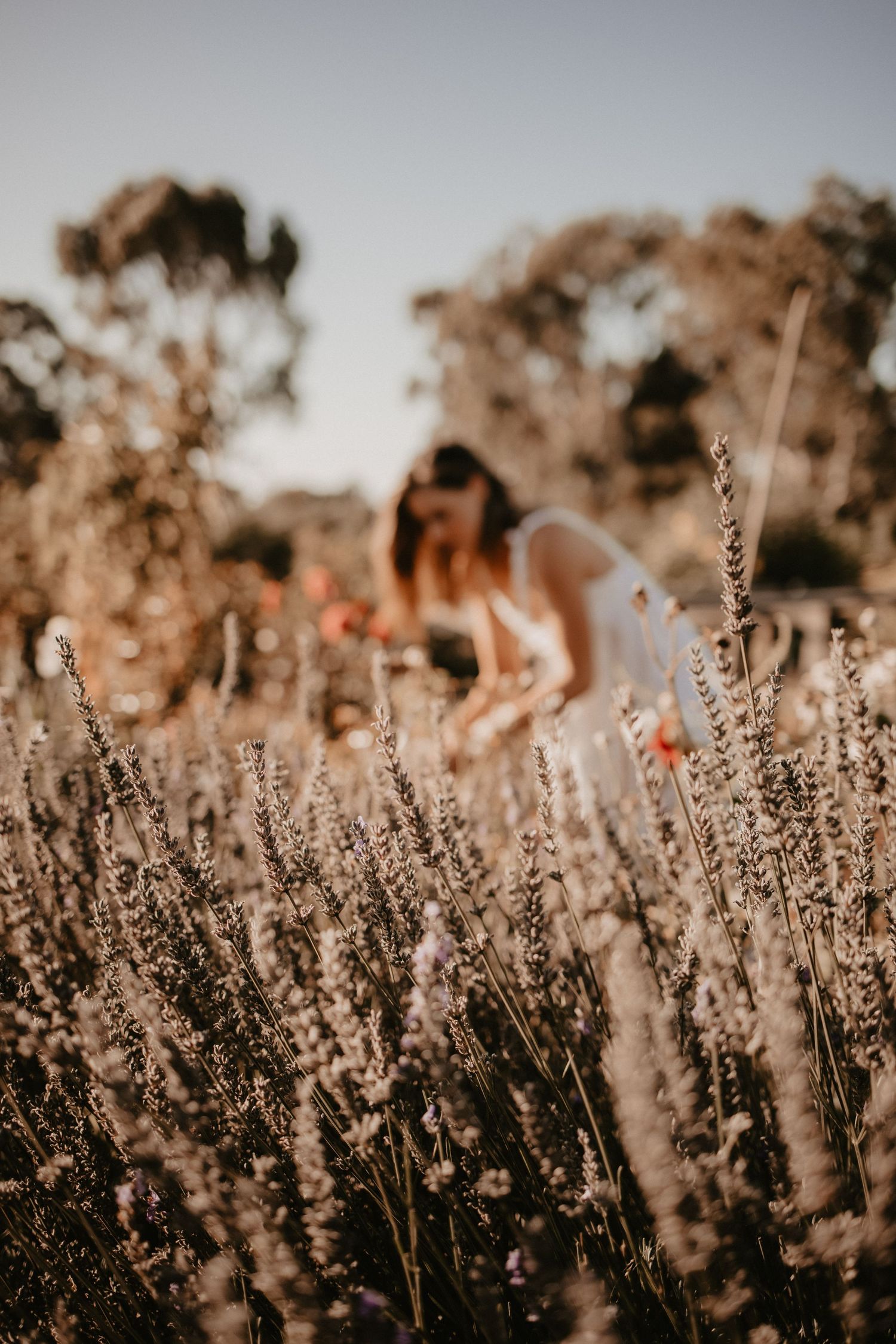 geelong melbourne newborn maternity family couples photographer