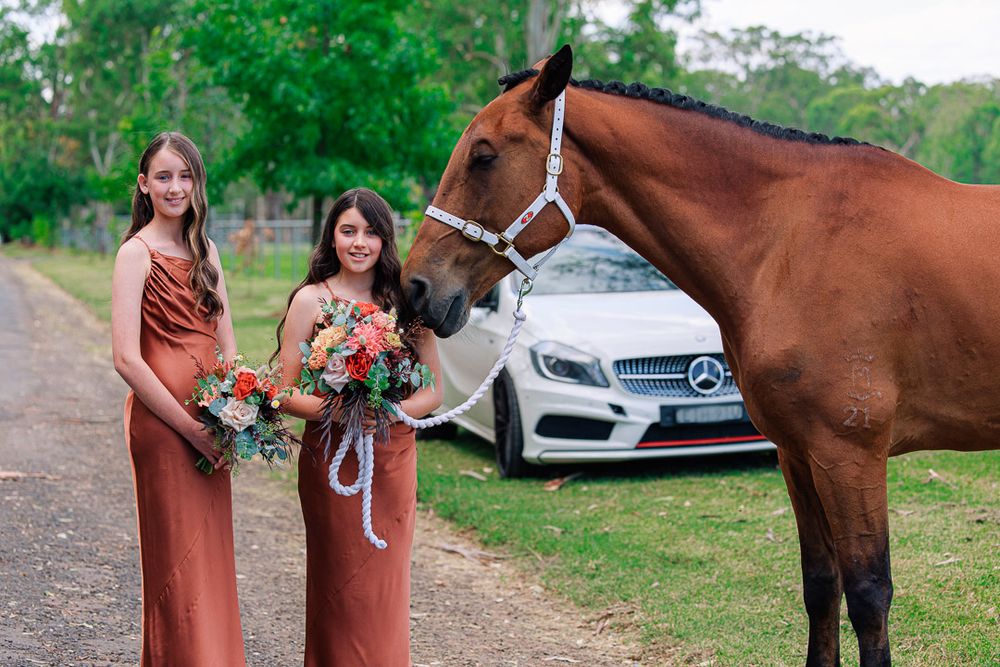 Wedding attendants in rust-colored dresses pose with a brown horse in an outdoor setting.